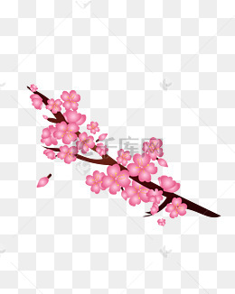 高山上怒放的腊梅花