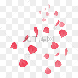 手绘漂浮玫瑰花瓣免抠图