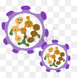 紫色球形细菌插画