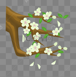 卡通白色梨花插画