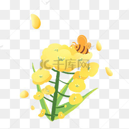 采蜜油菜花装饰插图