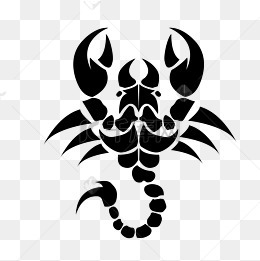 图腾纹身刺青