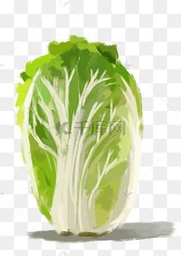 一颗大白菜