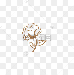 棉花