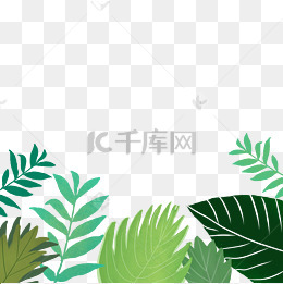 绿色植物叶子免抠图素材图片免费下载_高清psd_千库网