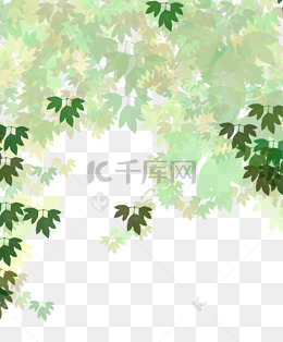 绿色生活环境保护树荫树叶