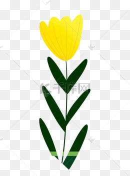 一朵小花