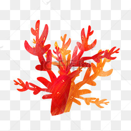 红色水生珊瑚