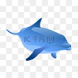 蓝色海底鲸鱼