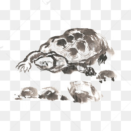 爬行的乌龟水墨画png免抠素材