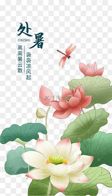 处暑节气二十四节气