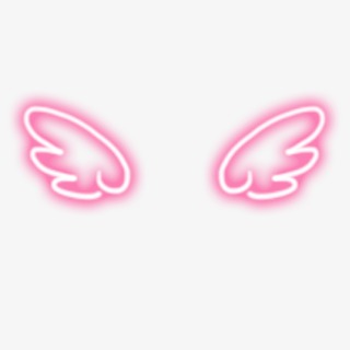 粉色可爱翅膀