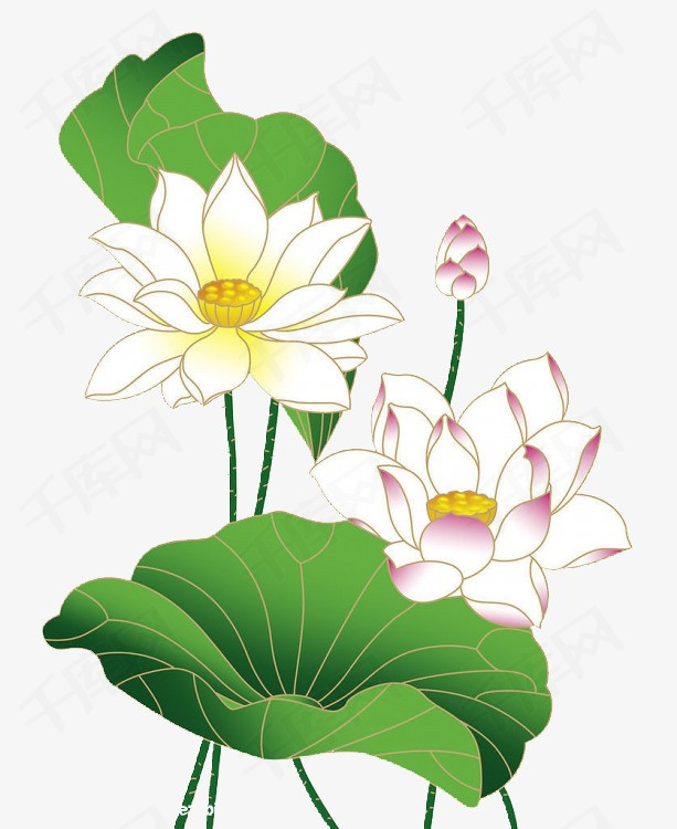 荷叶荷花图案