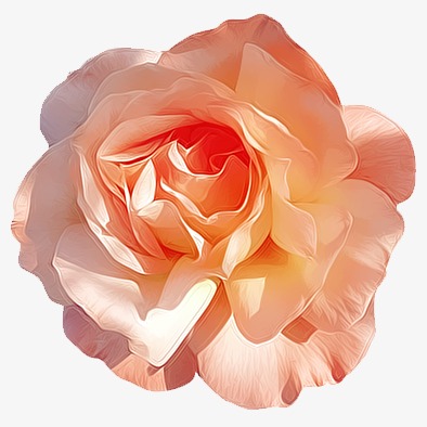 一朵花是什么成语_这是什么成语看图