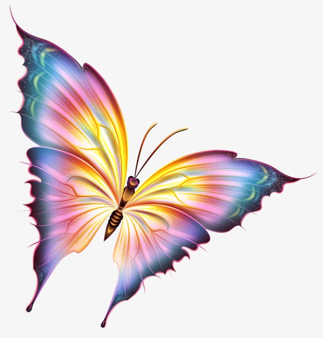 插画彩色蝴蝶 卡通梦幻蝴蝶