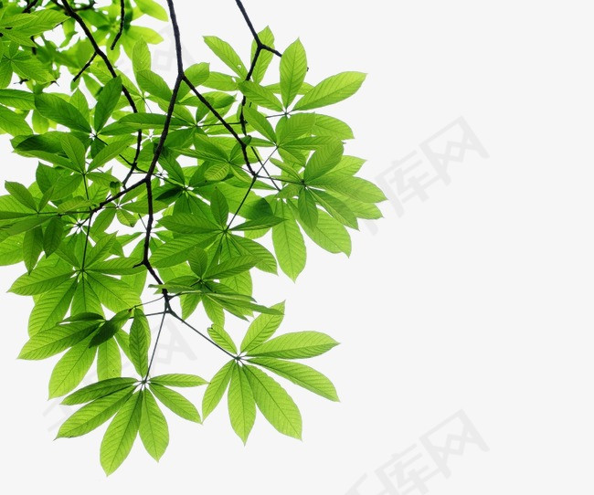 865688c345cf5e7.jpg!r650