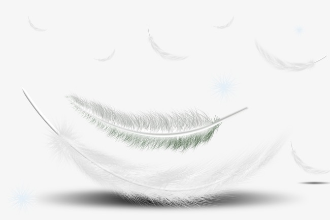 白色羽毛图片素材_白色羽毛图片素材免费下载_白色羽毛背景素材_白色羽毛模板下载-我图网-so.ooopic.com