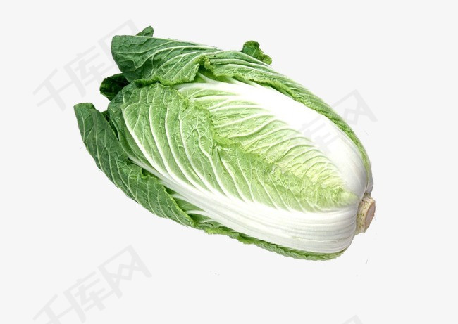 食物图标蔬菜矢量图 清新白菜