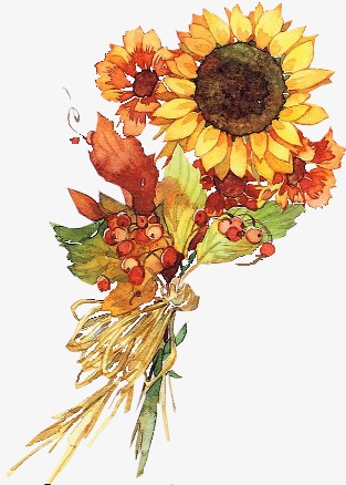 千库网 图片素材 花朵图片 唯美花卉 卡通手绘唯美向日葵