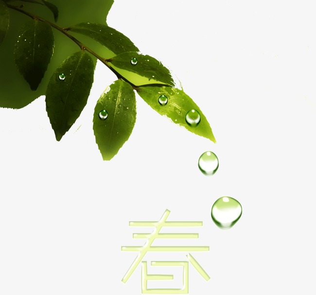 14570eec0d19add.jpg