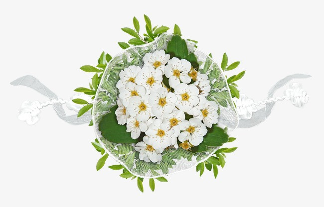 鲜花花草线描花草