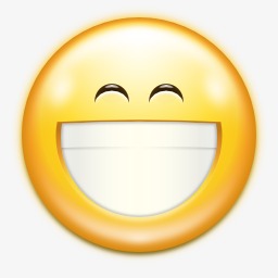 表情的脸微笑大图标