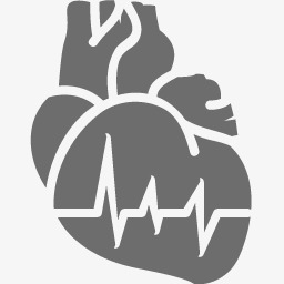 心脏病学medical-icons