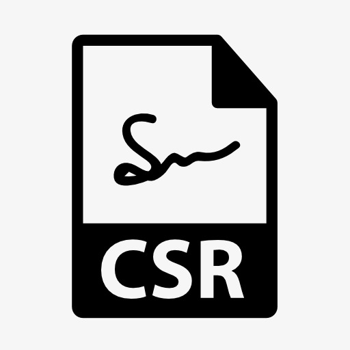 CSR文件是什么？CSR文件内容有哪些？（csr文件作用）  第1张