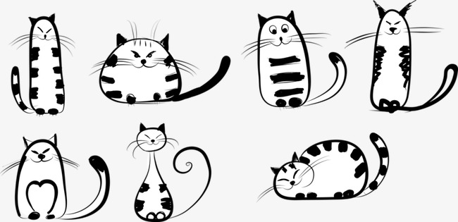 猫咪