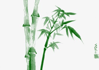 竹叶图片