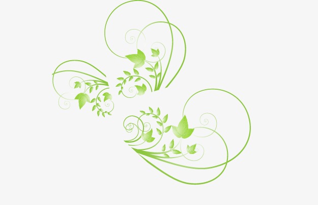 绿色藤蔓图片