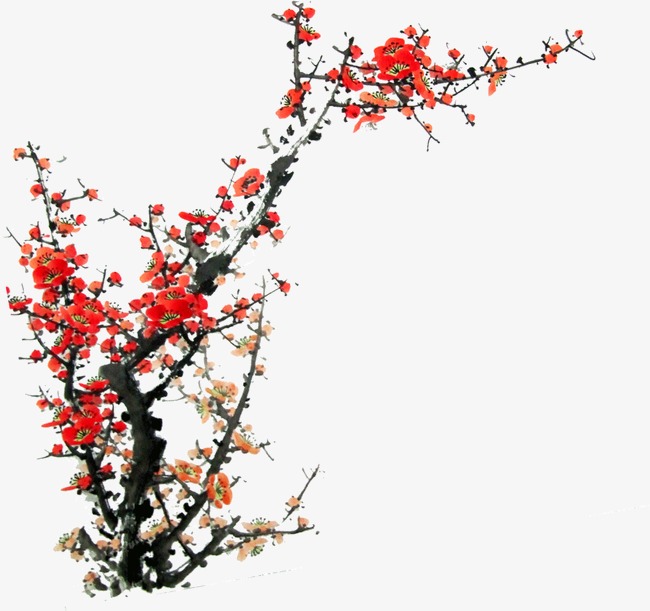 火红腊梅树素材图片免费下载_高清装饰图案p