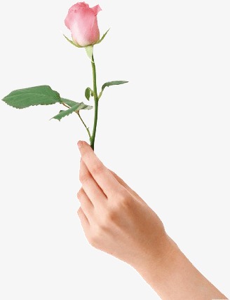 手拿玫瑰花素材图片免费下载_高清png_千库网(图片56