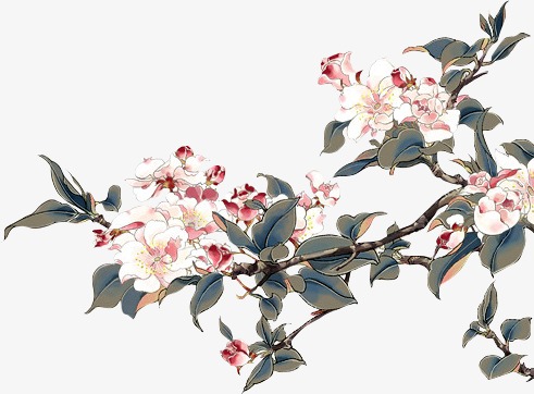 手绘中国风新年灯笼花枝创意元素设计