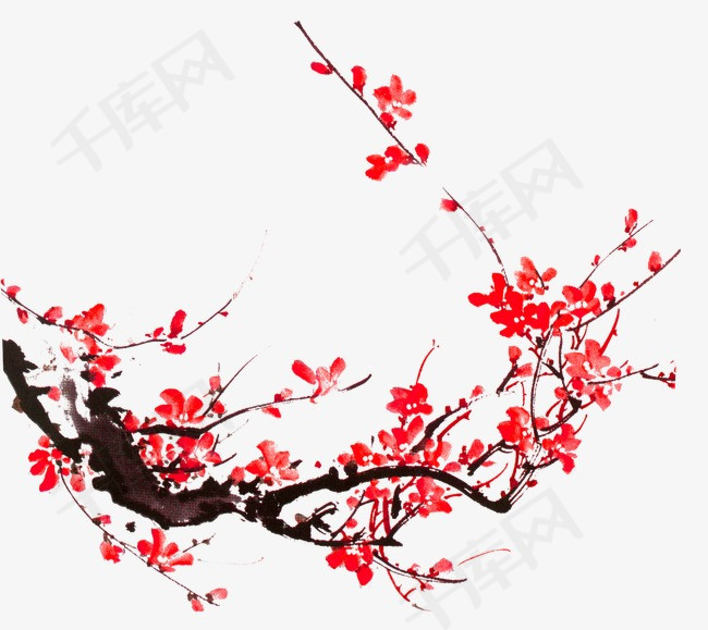 千库网提供梅花矢量免抠png素材
