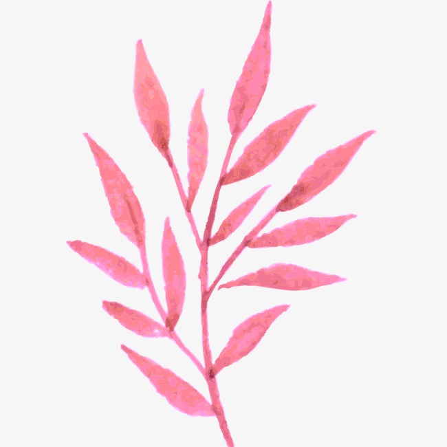水彩画 植物 花朵 手绘 树叶图片