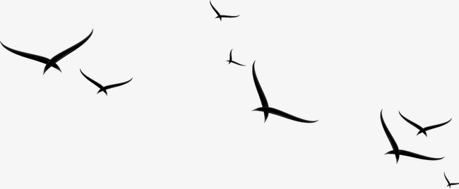 童简笔画人字形大雁