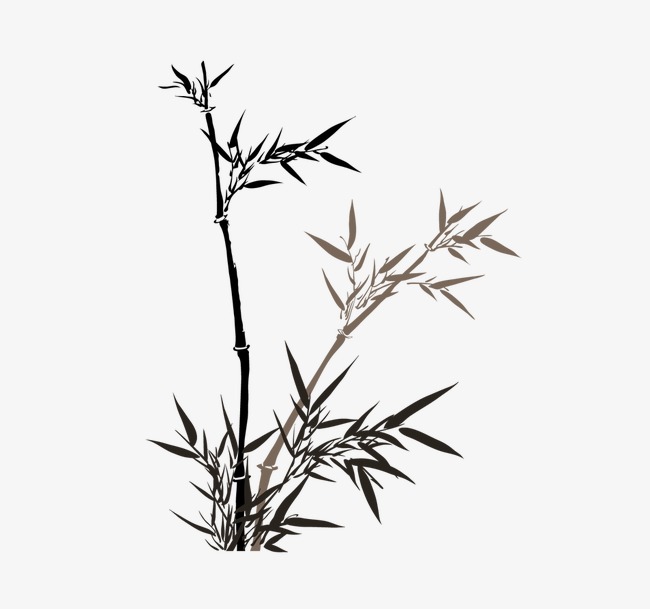 竹子水墨画图片