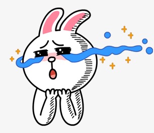 卡通 搞笑 表情包 布朗熊和可妮兔 line friends 微信表情包 感动到哭
