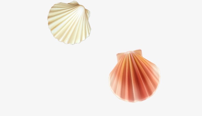 18576d06c788c90.jpg