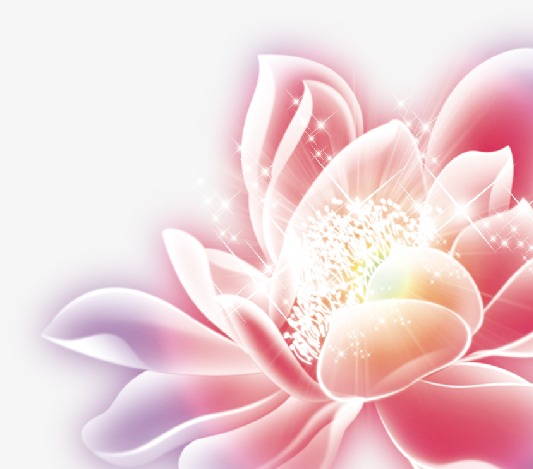 花 炫光花 花卉 星光 中秋海报