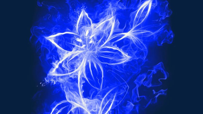 蓝色光花蓝色光花花朵梦幻花朵烟雾魔幻