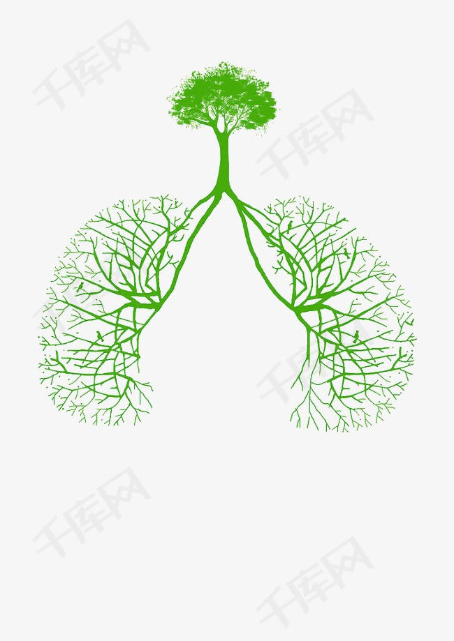 千库网提供肺矢量免抠png素材免费下载,更多肺高清png图片和精品psd