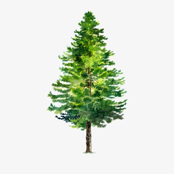 卡通手绘风格矢量松树绿色森林元素【免抠元素png】