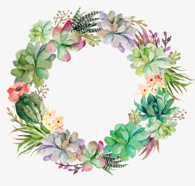 多肉花环绿色花环清新花环绿色花环仙人掌粉色花朵绿色多肉