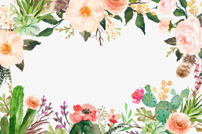 纯原创插画手绘水彩风花朵植物边框