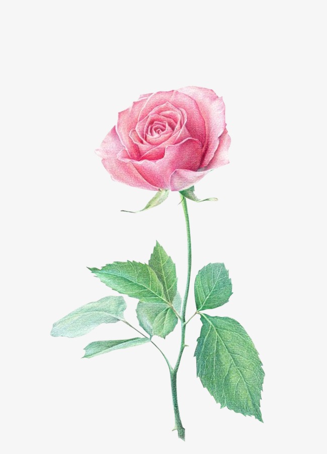 成语瑰什么彩_成语故事简笔画(2)