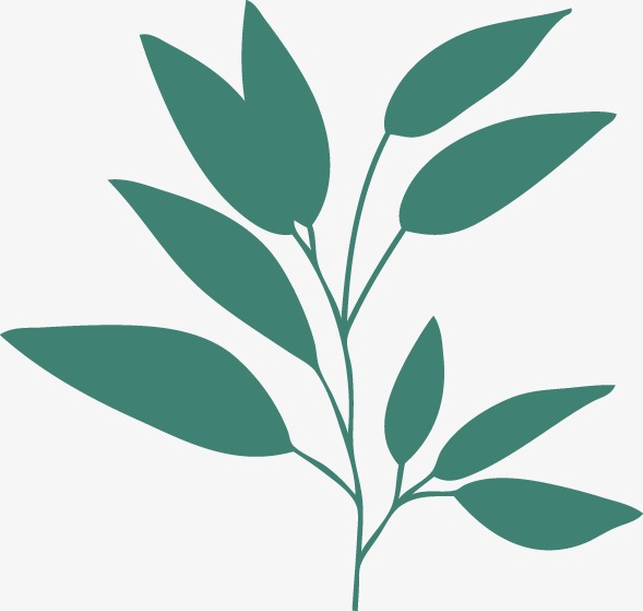设计素材海报花纹手绘