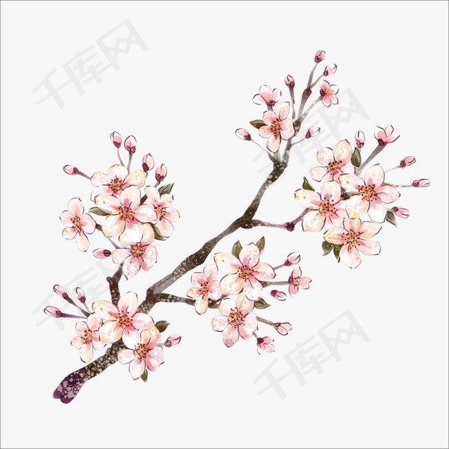 梅花梅花树枝树枝梅枝