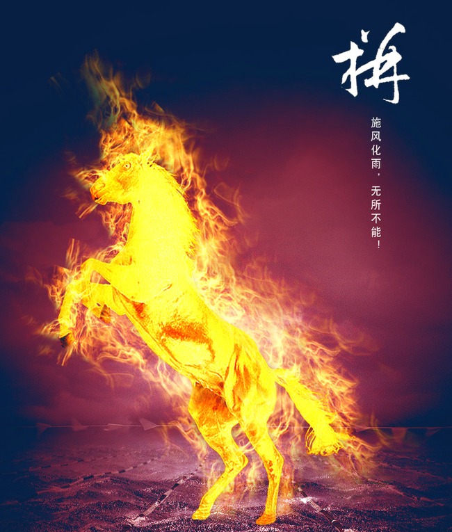 神奇宝贝烈焰马_口袋妖怪 烈焰马怎样_烈焰马